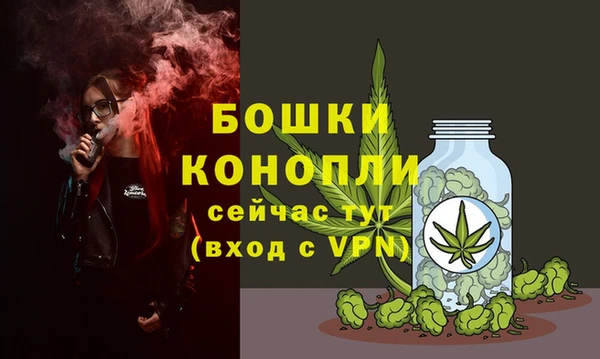 МДПВ Богданович